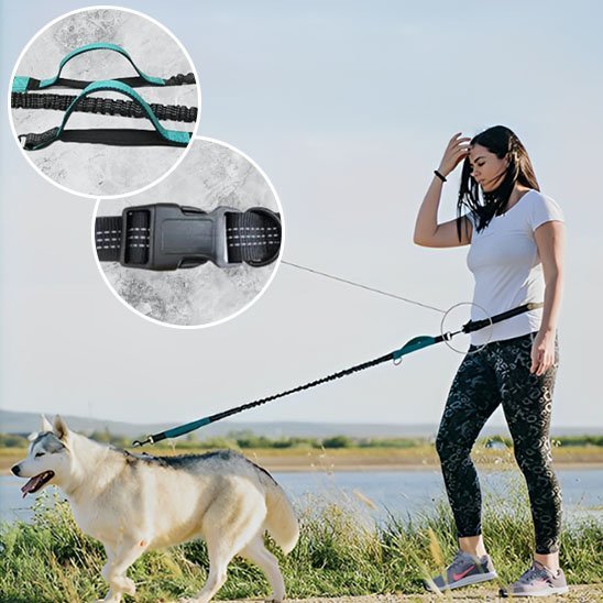 Laisse canicross | Premium Confort - Mon Chien Sportif