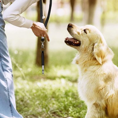 Sifflet Ă ultrason pour chien | DressCoach - Mon Chien Sportif