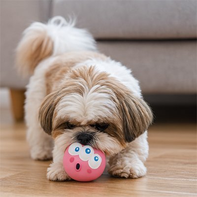 Balle Chien | Ultra - Résistante - Mon Chien Sportif