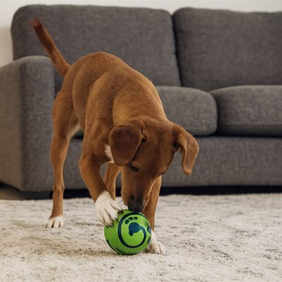 Balle pour Chien | Ultra - Résistante - Mon Chien Sportif