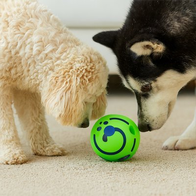 Balle pour Chien | Ultra - Résistante - Mon Chien Sportif