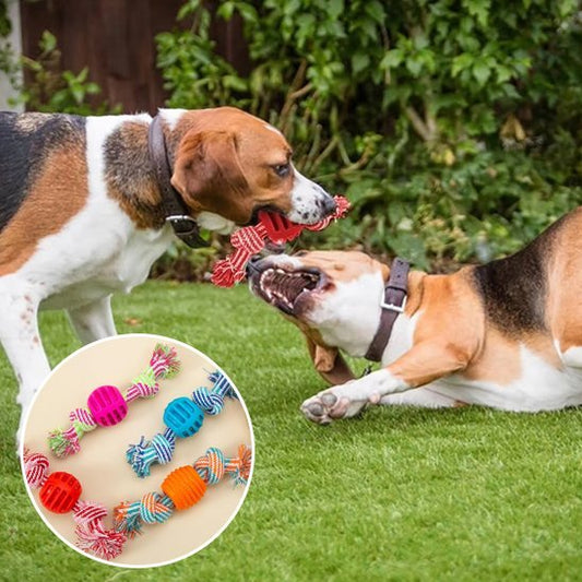 Jouet chien | Durable Interactif Anti - ennui - Mon Chien Sportif