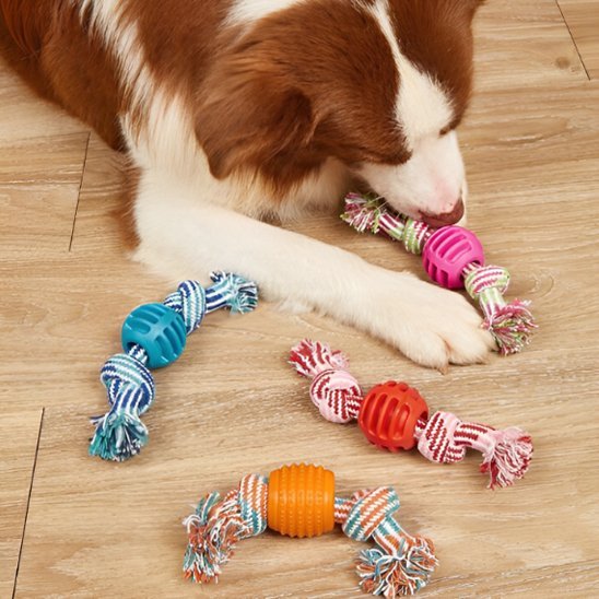 Jouet chien | Durable Interactif Anti - ennui - Mon Chien Sportif