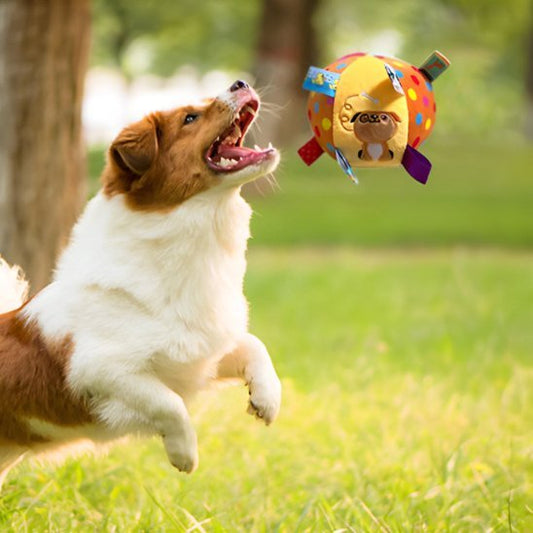 Jouet chien | Durable Premium - Mon Chien Sportif