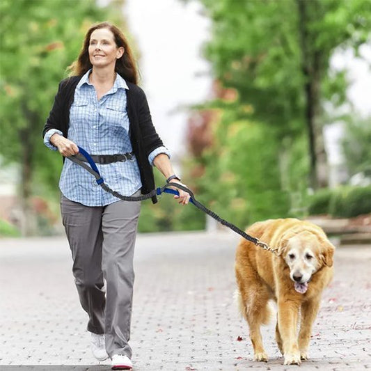 Laisse canicross | Premium Comfort - Mon Chien Sportif