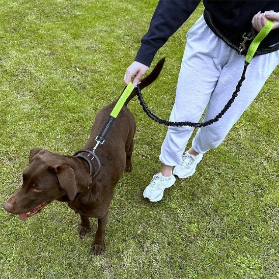 Laisse canicross | Premium Comfort - Mon Chien Sportif