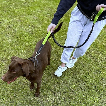 Laisse canicross | Premium Comfort - Mon Chien Sportif