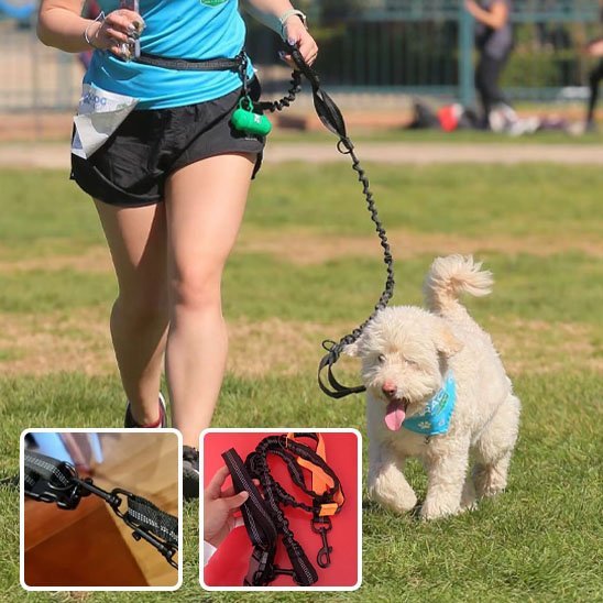 Laisse canicross | Premium Confort - Mon Chien Sportif