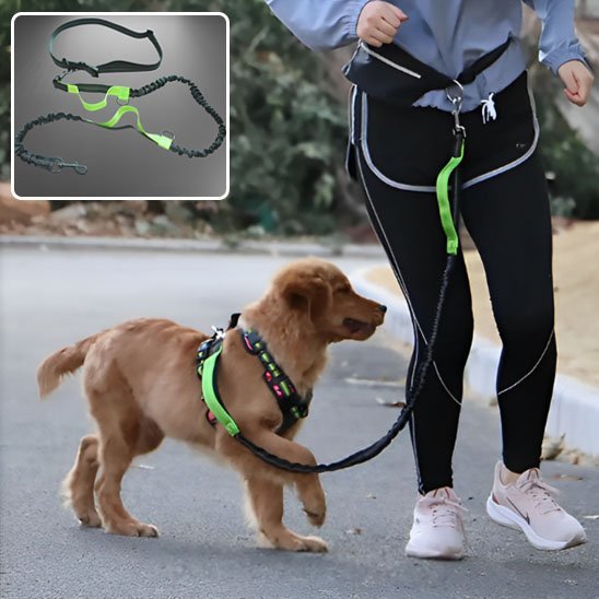Laisse canicross | Premium Confort - Mon Chien Sportif