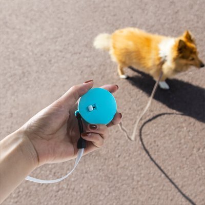Laisse enrouleur | Premium 5m - Mon Chien Sportif
