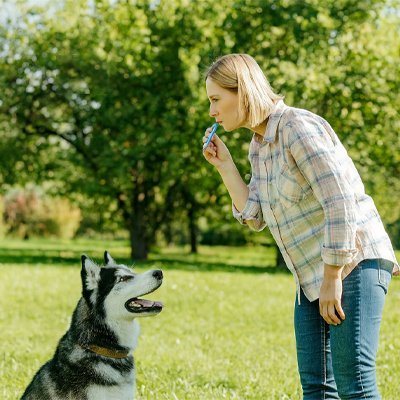 Sifflet à ultrason pour chien | DressCoach - Mon Chien Sportif